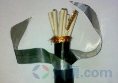 天康鎧裝屏蔽計算機電纜 天康鎧裝屏蔽計算機電纜